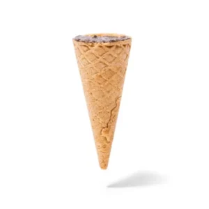 Polaroid cone