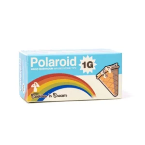 Polaroid cone